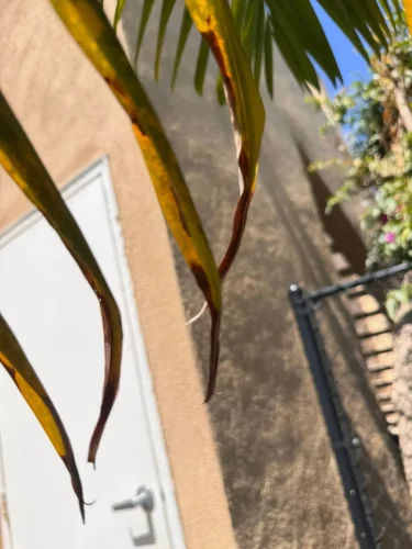 Pressure Washing Service San Diego 2700