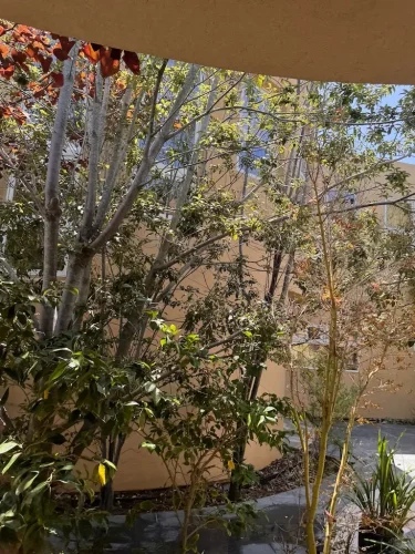 Pressure Washing Service San Diego 2736