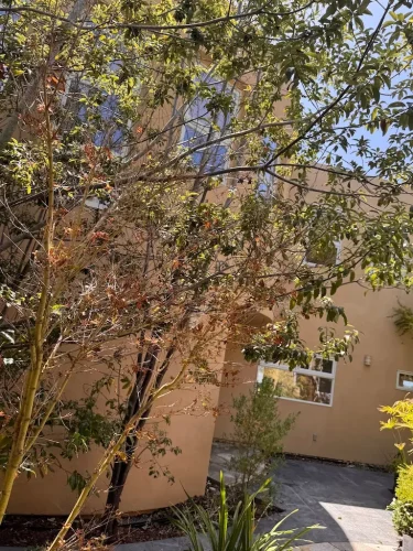 Pressure Washing Service San Diego 2740