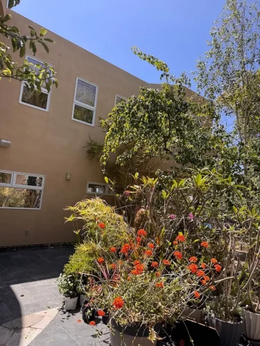 Pressure Washing Service San Diego 2744