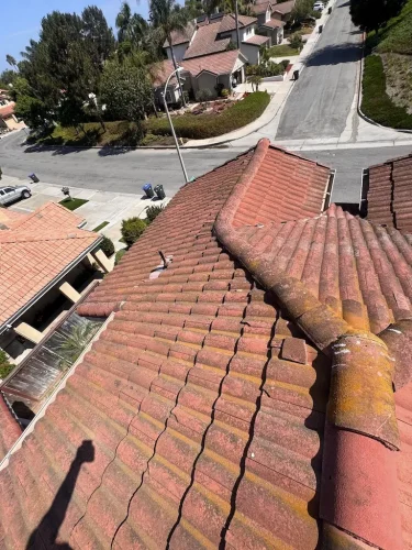 Pressure Washing Service San Diego 277