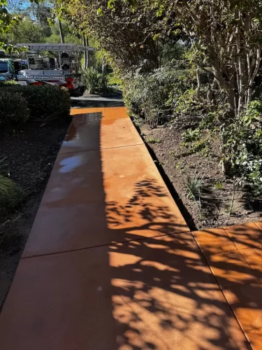 Pressure Washing Service San Diego 2831