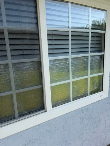 Pressure Washing Service San Diego 288
