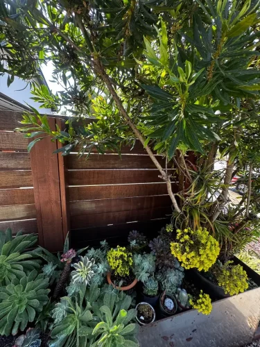 Pressure Washing Service San Diego 2882