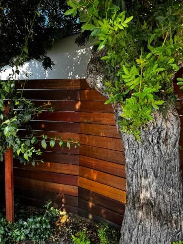 Pressure Washing Service San Diego 2897