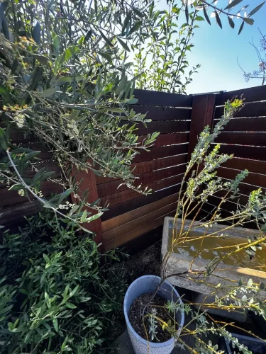 Pressure Washing Service San Diego 2960