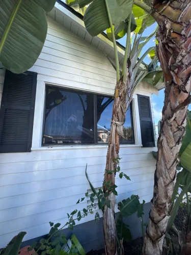 Pressure Washing Service San Diego 2962