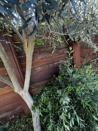 Pressure Washing Service San Diego 2964