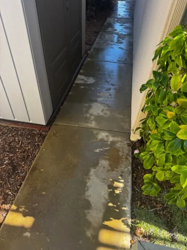 Pressure Washing Service San Diego 2967