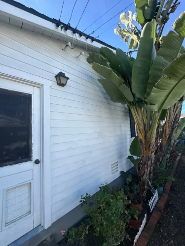 Pressure Washing Service San Diego 2978