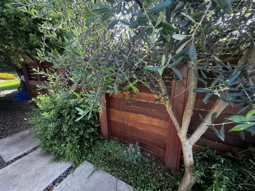 Pressure Washing Service San Diego 3138