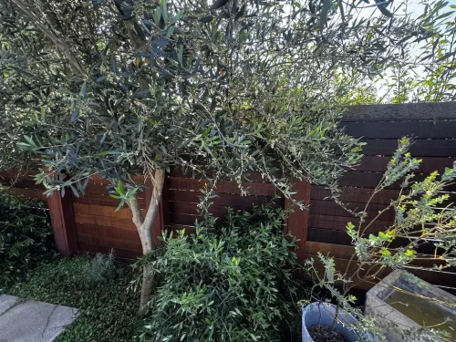 Pressure Washing Service San Diego 3145