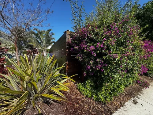 Pressure Washing Service San Diego 3234