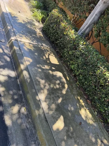 Pressure Washing Service San Diego 324