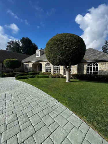 Pressure Washing Service San Diego 3298