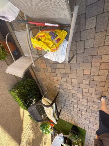 Pressure Washing Service San Diego 3426