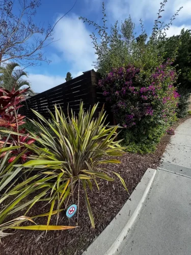 Pressure Washing Service San Diego 3430