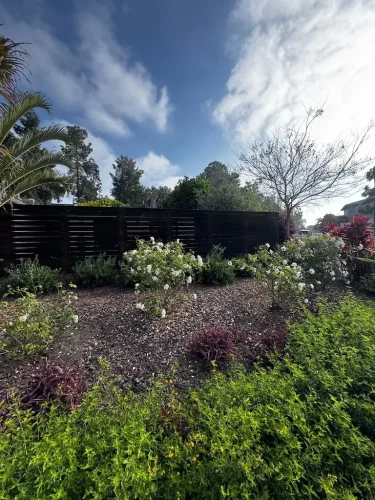 Pressure Washing Service San Diego 3463