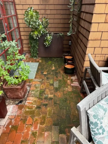Pressure Washing Service San Diego 3499