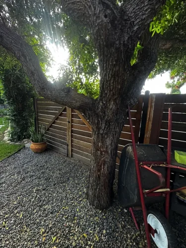 Pressure Washing Service San Diego 3546