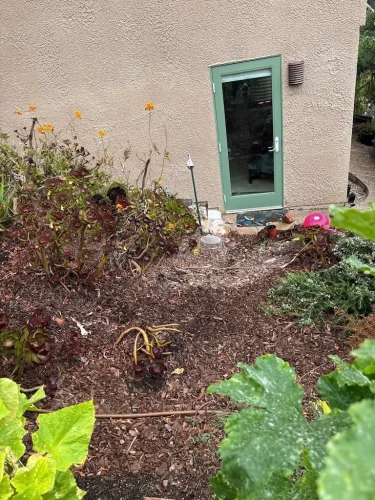 Pressure Washing Service San Diego 357