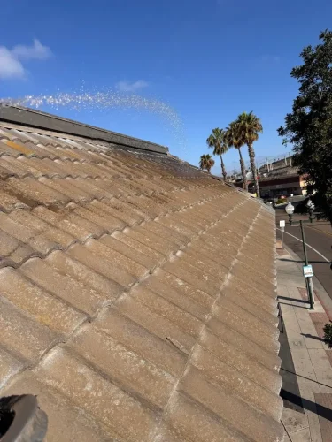 Pressure Washing Service San Diego 365