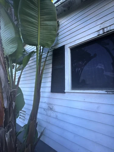 Pressure Washing Service San Diego 3662