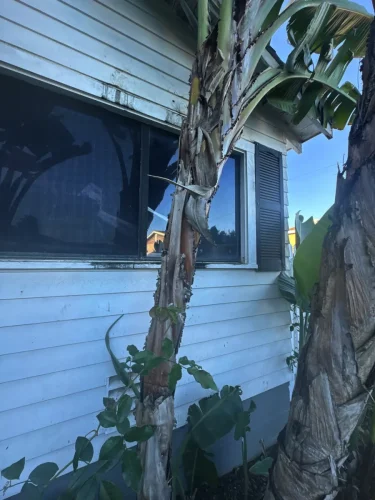 Pressure Washing Service San Diego 3686
