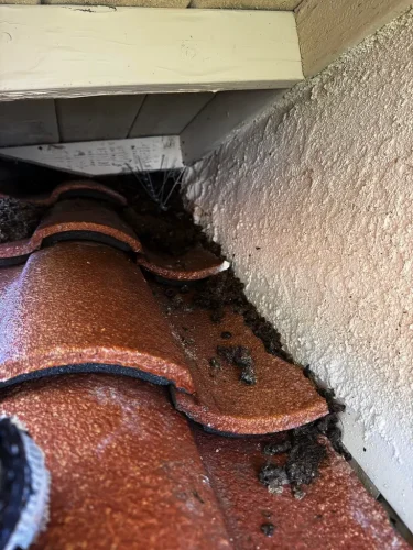 Pressure Washing Service San Diego 3773