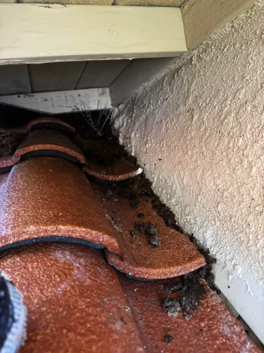 Pressure Washing Service San Diego 3804