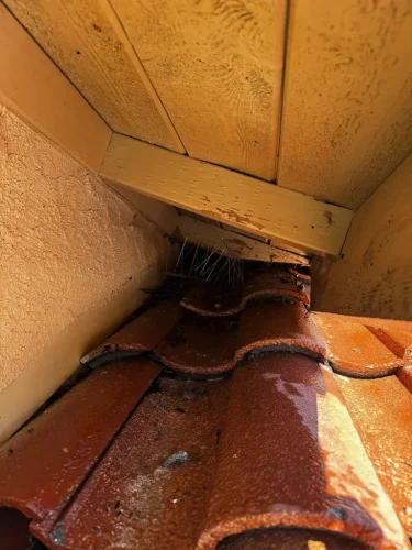 Pressure Washing Service San Diego 3837