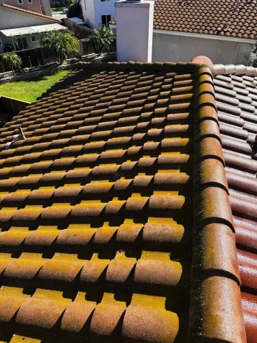 Pressure Washing Service San Diego 4055