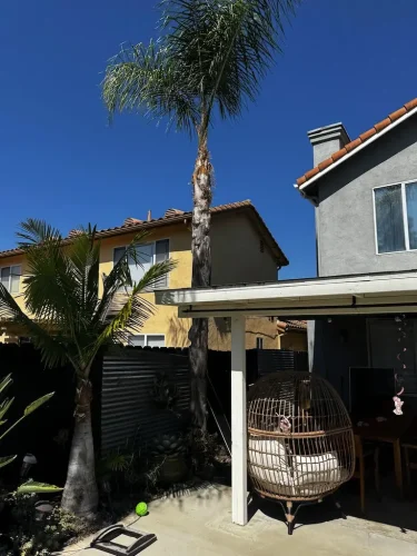 Pressure Washing Service San Diego 4197