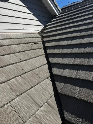 Pressure Washing Service San Diego 4228