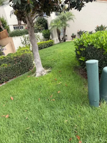 Pressure Washing Service San Diego 49