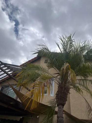 Pressure Washing Service San Diego 589