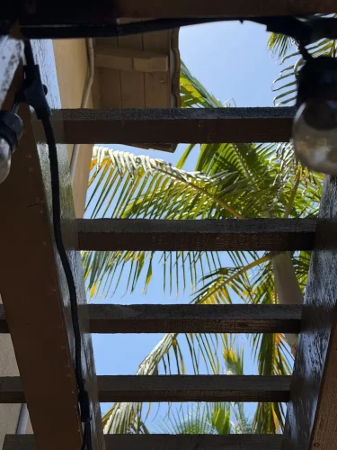 Pressure Washing Service San Diego 598