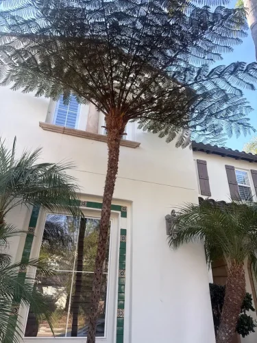 Pressure Washing Service San Diego 705