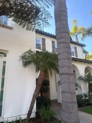 Pressure Washing Service San Diego 724