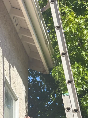 Pressure Washing Service San Diego 774