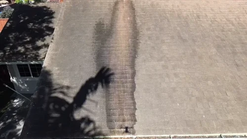 Pressure Washing Service San Diego 8
