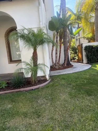 Pressure Washing Service San Diego 814
