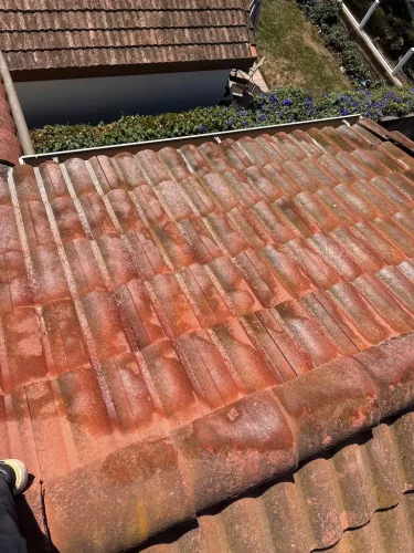 Pressure Washing Service San Diego 901