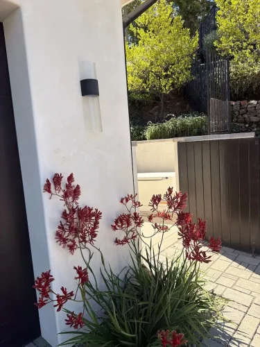 Pressure Washing Service San Diego 910