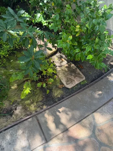 Pressure Washing Service San Diego 960