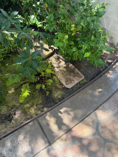 Pressure Washing Service San Diego 973