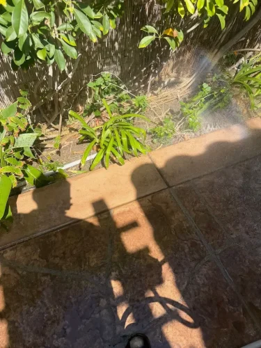 Pressure Washing Service San Diego 986